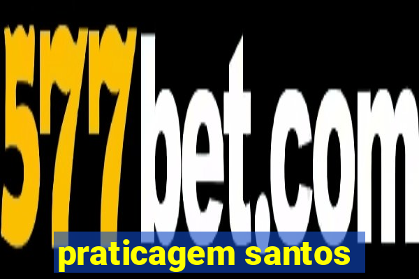 praticagem santos